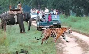 Nainital jim Corbett